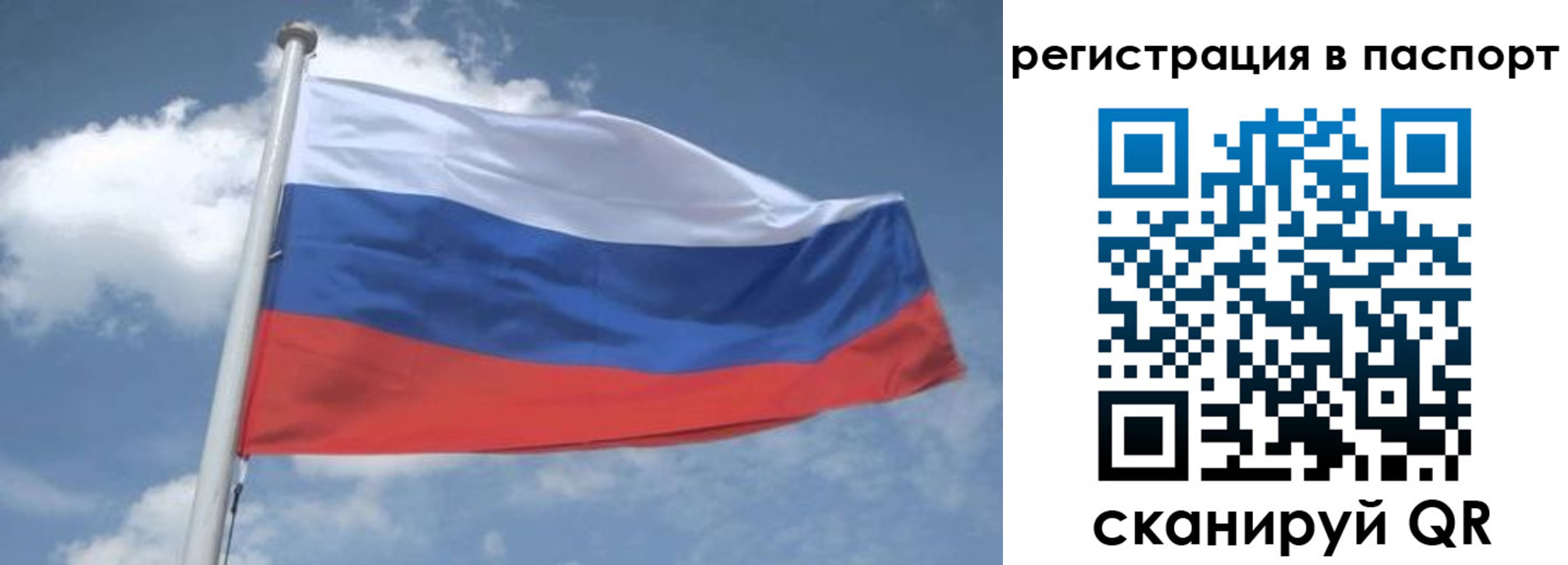 временная регистрация надежно в Протвино